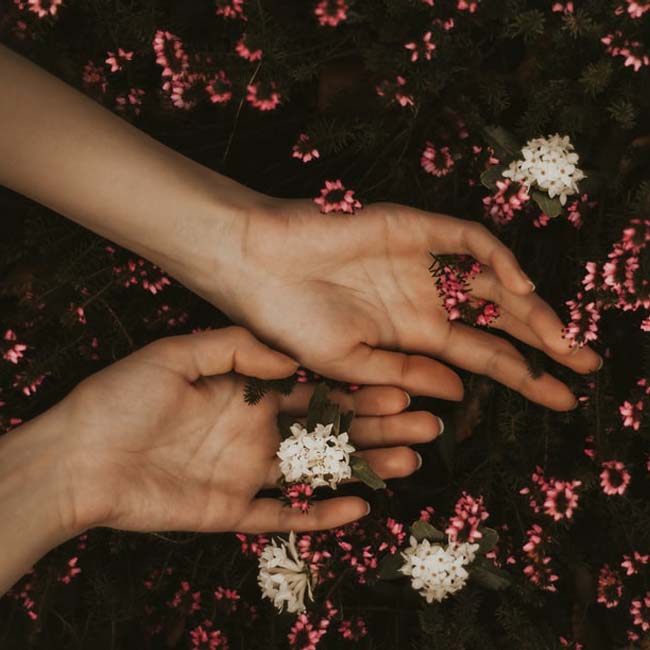 hands resting in flowers